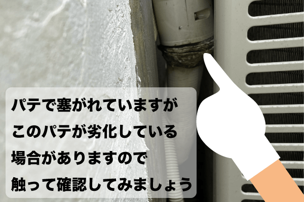 自分でできるネズミの侵入経路調査 屋外編 ねずみ駆除専門 株式会社マウス バスターズ東京