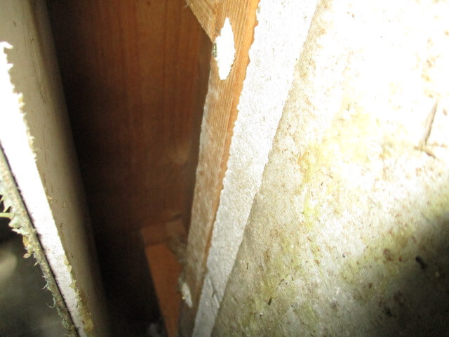 駆除マイスター