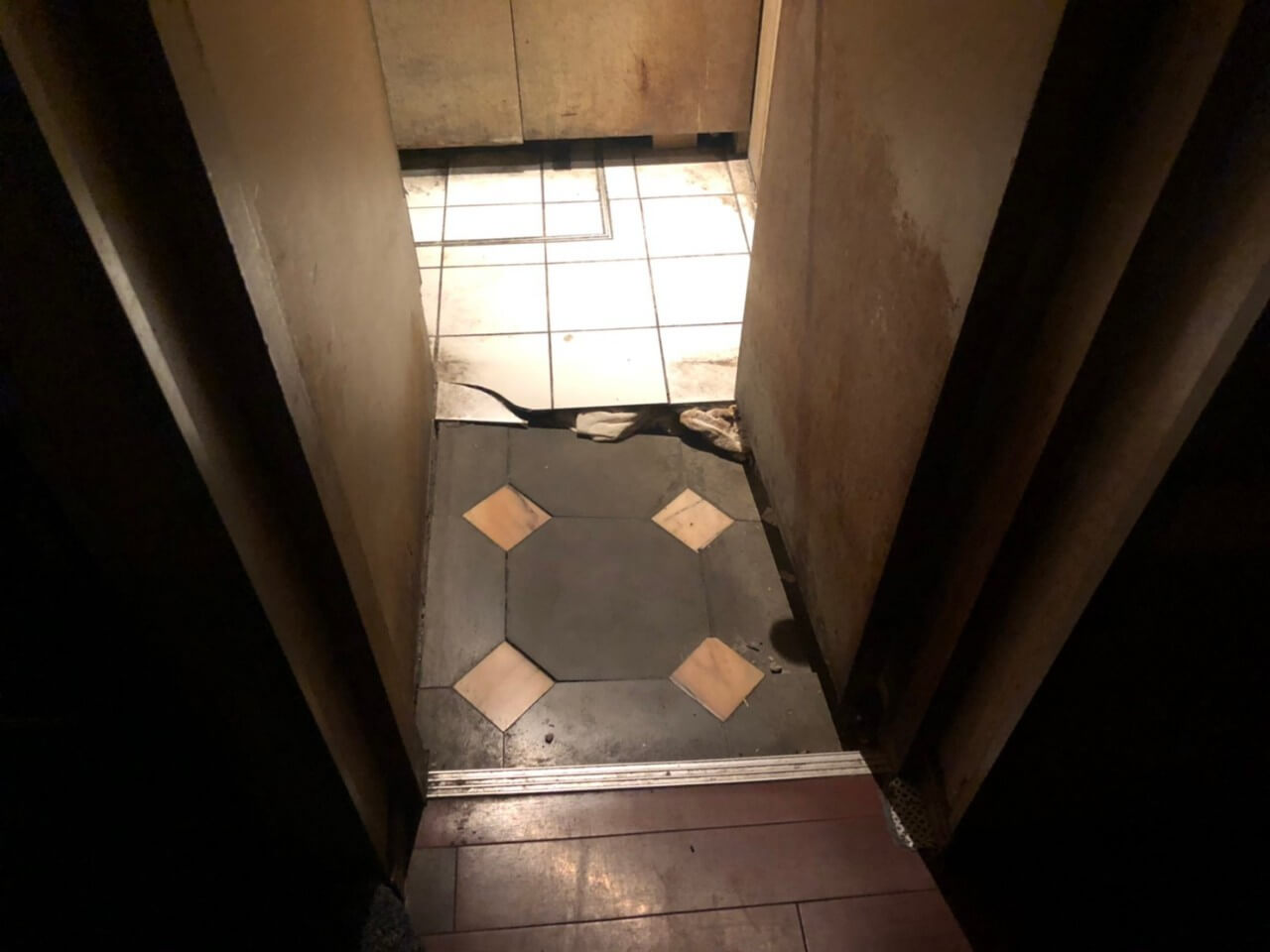 駆除マイスター