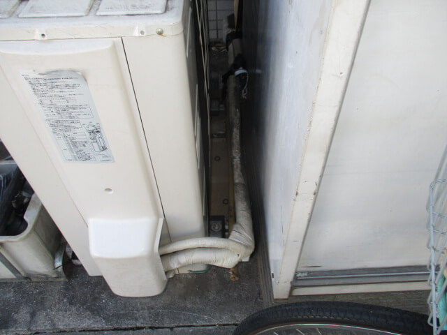 駆除マイスター