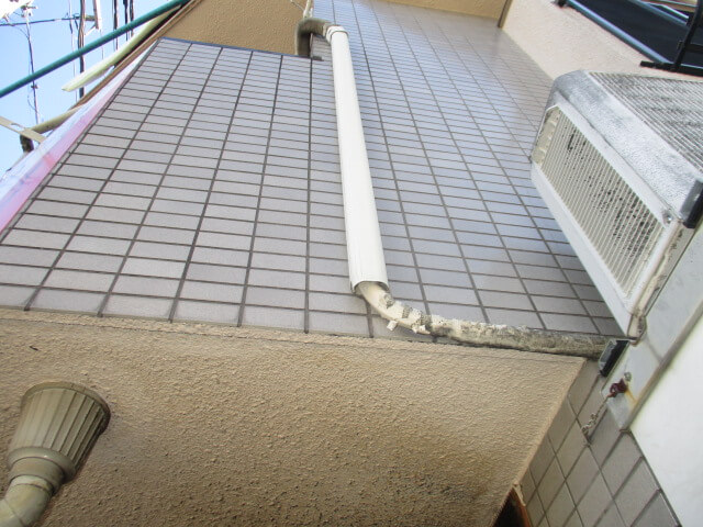 駆除マイスター