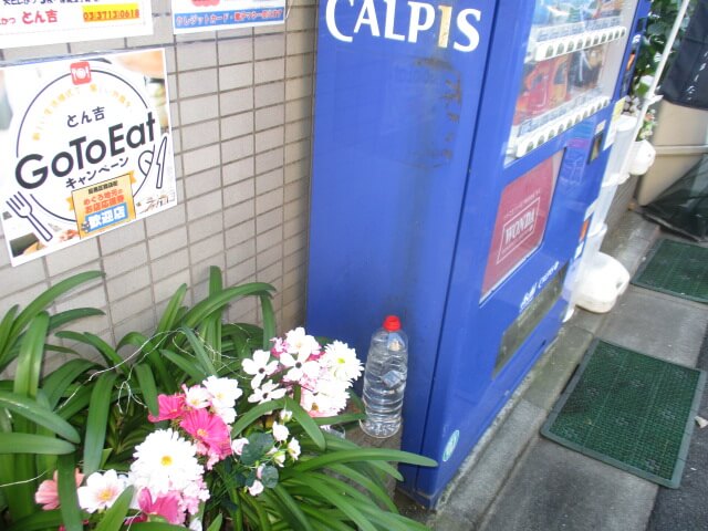 駆除マイスター