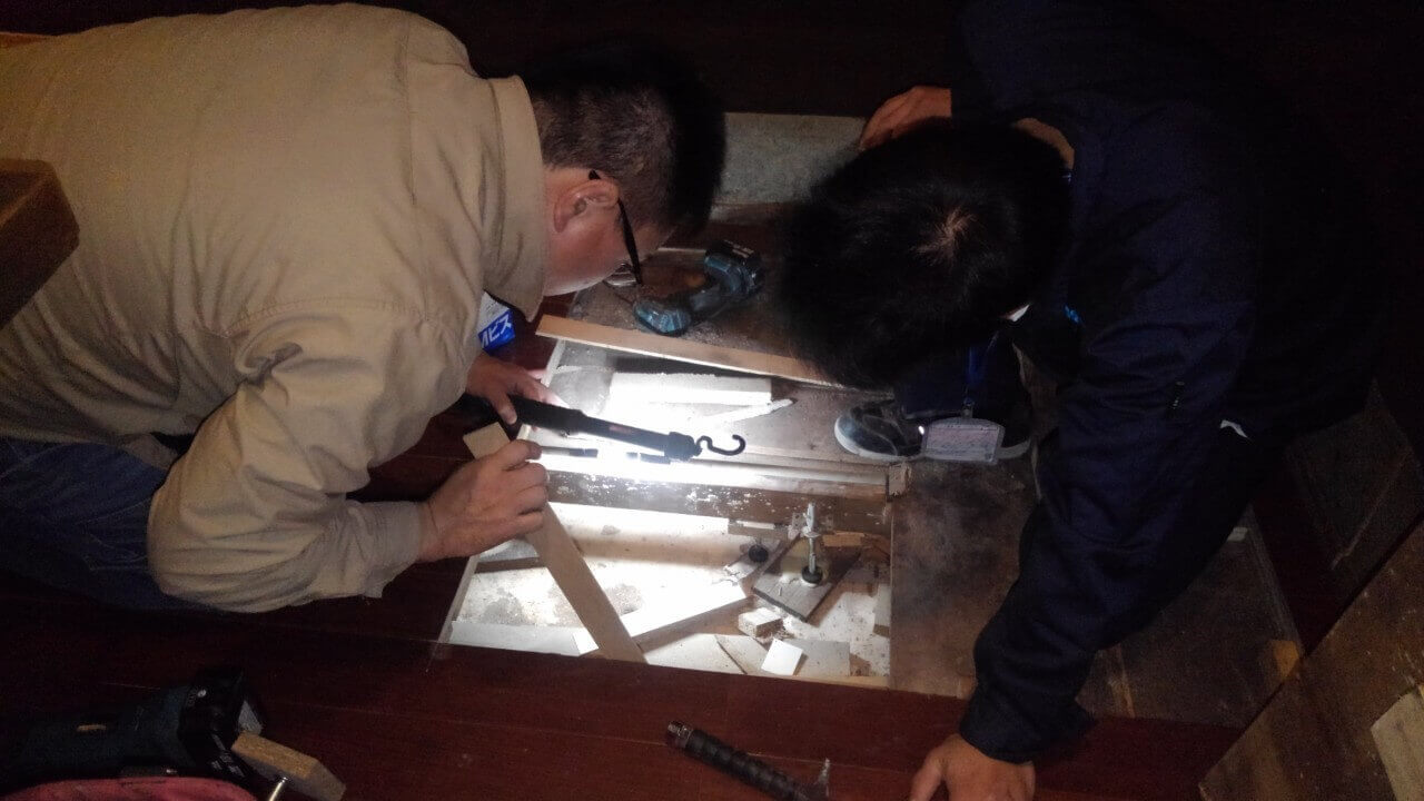 駆除マイスター