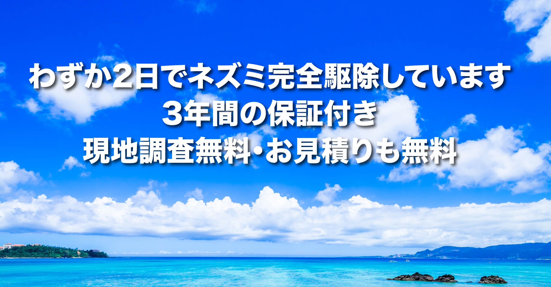 駆除マイスター