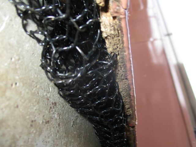 駆除マイスター