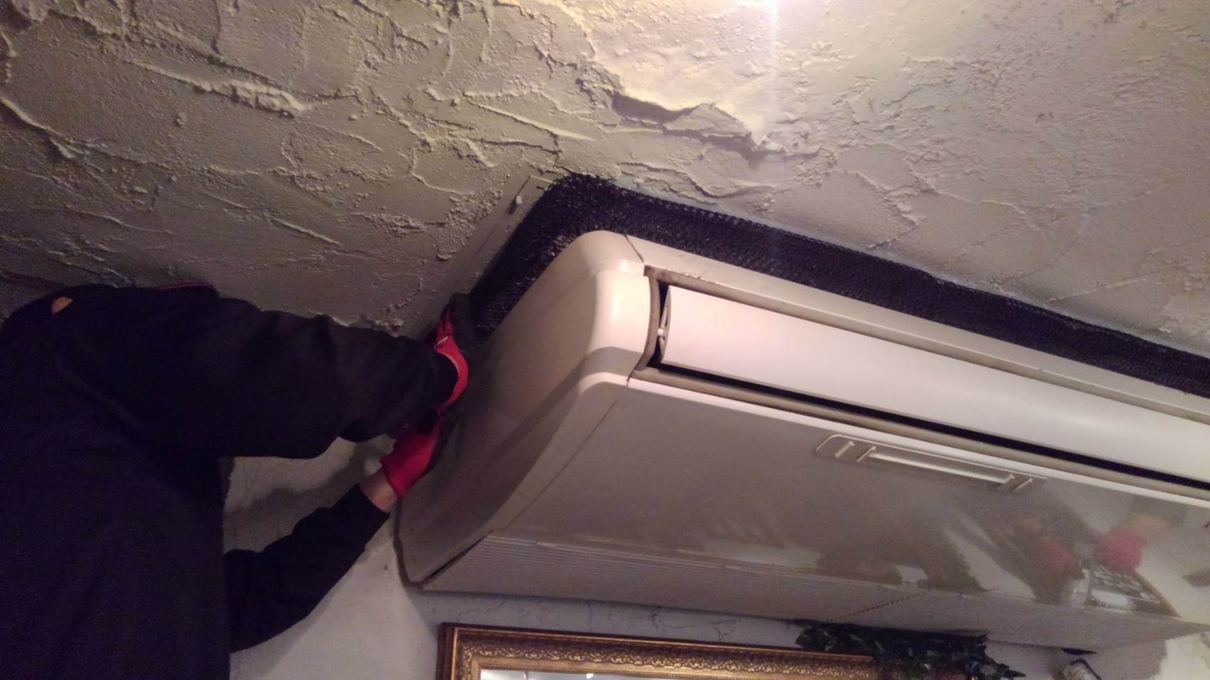 駆除マイスター