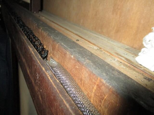 駆除マイスター