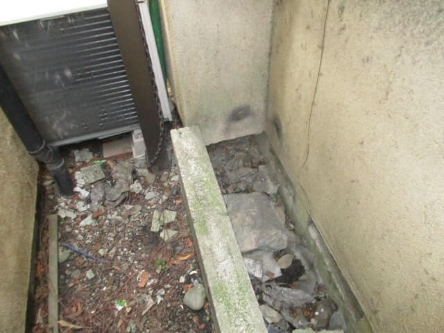 駆除マイスター