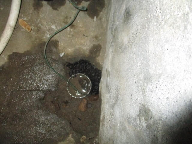 駆除マイスター