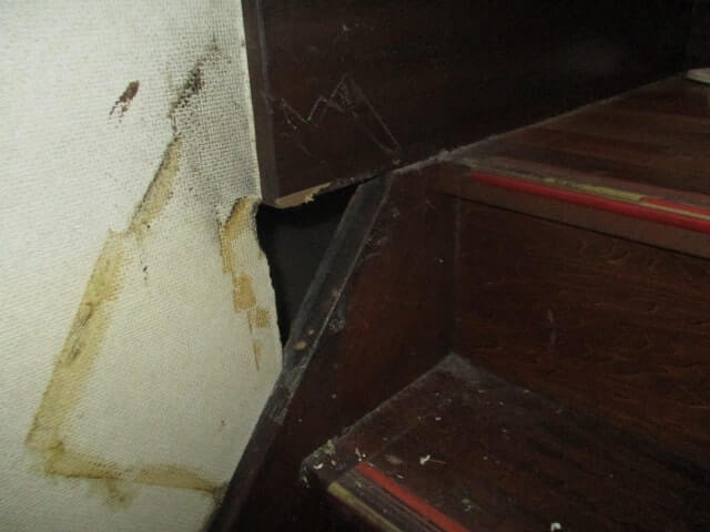 駆除マイスター