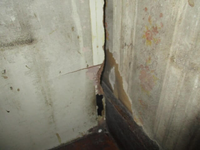 駆除マイスター