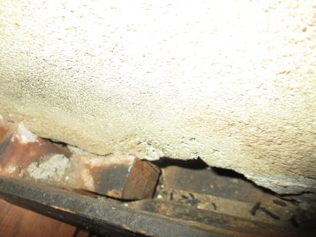 駆除マイスター