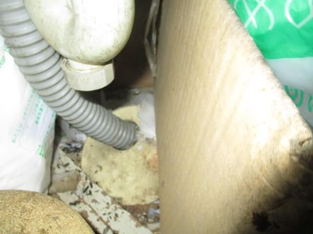 駆除マイスター