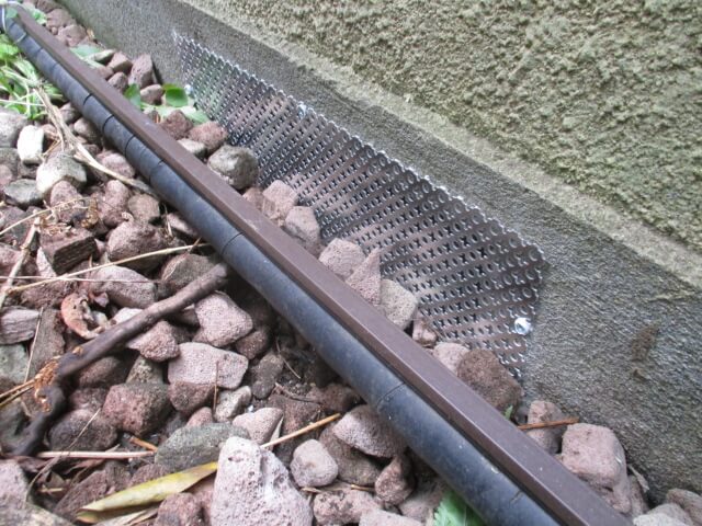 駆除マイスター