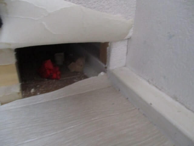 駆除マイスター