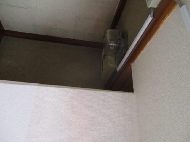 駆除マイスター