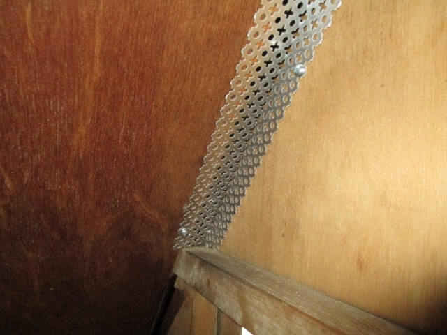 駆除マイスター