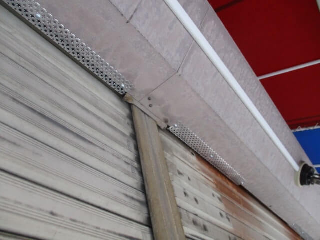 駆除マイスター