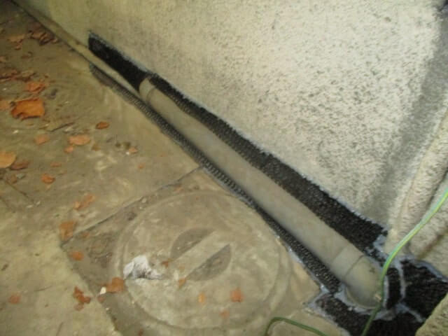 駆除マイスター