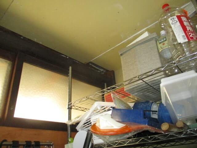 駆除マイスター