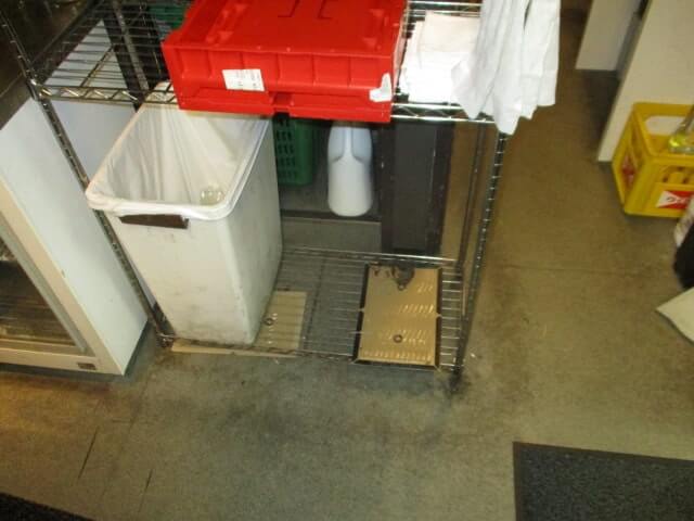 駆除マイスター