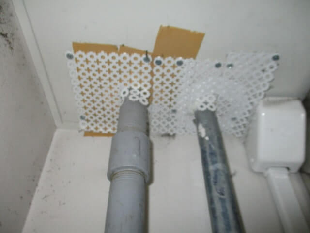 駆除マイスター