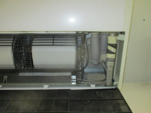 駆除マイスター