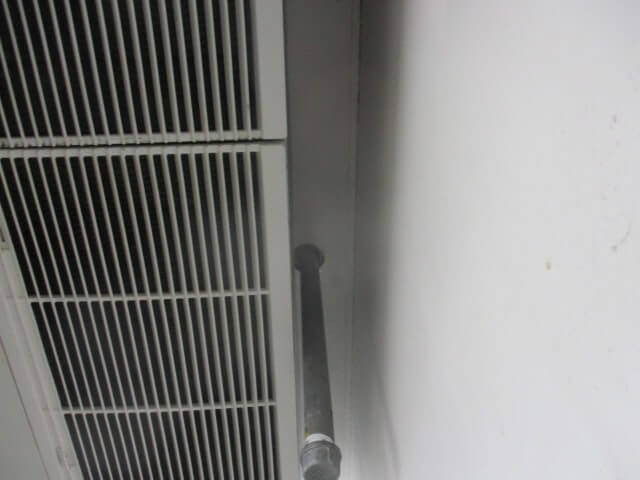 駆除マイスター