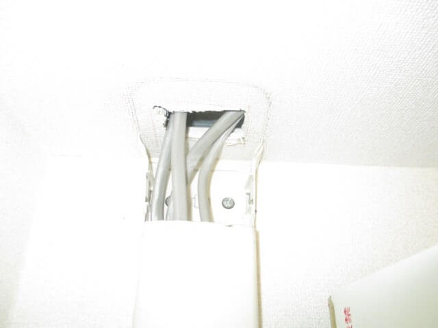 駆除マイスター