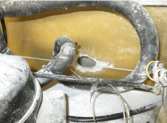 駆除マイスター