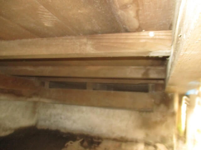 駆除マイスター