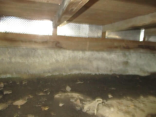 駆除マイスター