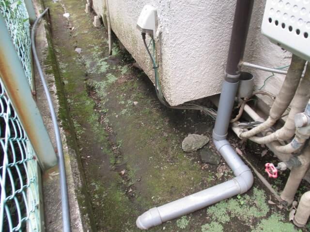 駆除マイスター