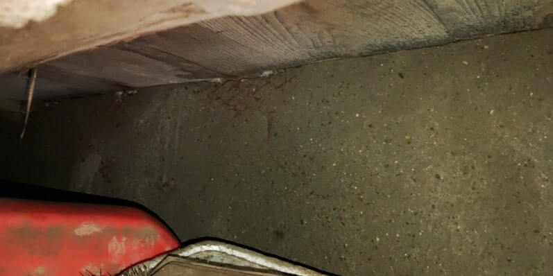 駆除マイスター