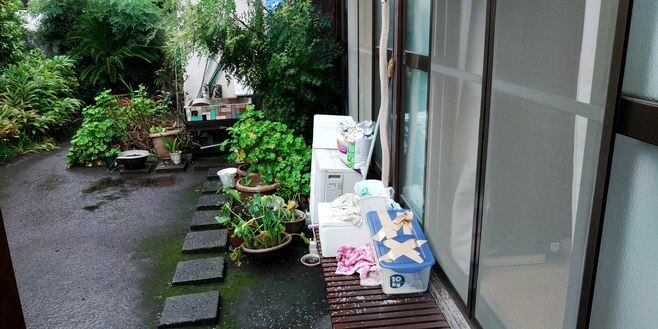 駆除マイスター