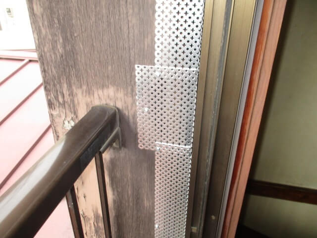 駆除マイスター